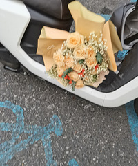 ��Ϧ��������ͨ������Ϸ��Ҫ���ʻ�����������ڵ�ƿ���ϡ�