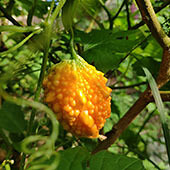 �ܾ�û�����Ľ�����