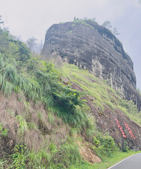 ����ɽ����������Ȼ�Ļ��Ų����ǹ��ҹ�԰��������ѡ��