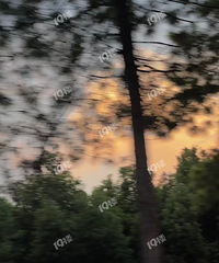 ���걩���ļ��� ·�϶��ܿ�����ɫ���ƣ�̫�ÿ��˰ɣ�