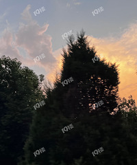 ���걩���ļ��� ·�϶��ܿ�����ɫ���ƣ�̫�ÿ��˰ɣ�