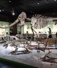 ��èչ�˲��Ǻܶ࣡��Ԫ·�ϵĵƹ����ֿ����ˣ�ҹ���ƹⳬ����