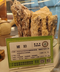 СӤ�������ڼ����� û�뵽����������а��������