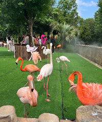 �Ϻ�Ұ������԰�����Σ������Ҳ���ͣ��λ������������۳��ߣ�