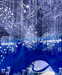 �ÿ����������ͻ�ɴ��