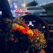 �ǲ����Ҳ����ã�