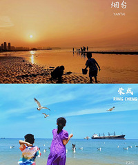 �糵���� 8����