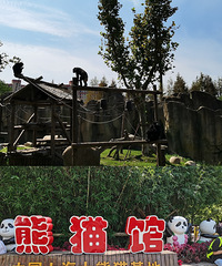 ������Ϻ�Ұ������԰��һ������+��̢+�����198Ԫ...