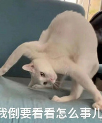 ��������Сѧ�ļһ�������ת����Ľ����Ƿ���ͬ��ǰ��ࣿ