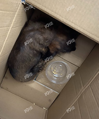 ͬ�¼ҵ�С�������ڳ��ӵ����� һ·����+���̵�ƽ������˾��