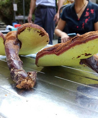 �߳����ţ�����Ǯ��Դ����ϪƯ�� Ϫˮ��Ѽ�� ��������֥