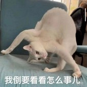 ��������Сѧ��ô����