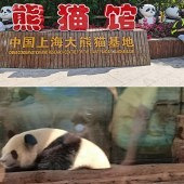 �Ϻ�Ұ������԰����