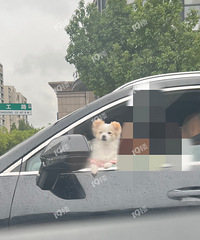 ˭������ʻλû��С�ɰ��أ�����Ӧ���Ǳ���۷ֵİɣ�