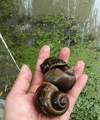 ���������ּ����˺��ˣ��ö�ö�ö࡭