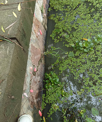 ���������ּ����˺��ˣ��ö�ö�ö࡭