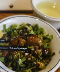 [������ս]��һ�γ�ը�����ƺͲ�Ӽ ��ζ�е���