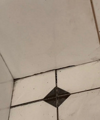 �λ�����ʲôˮƽ��