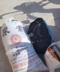 ������ǰ����������Ƥ������ ���ڵ����Ǵ��С���͵��ſ�