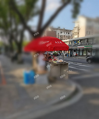 ������6Ԫ��4.5Ԫ �±���3.5Ԫ��2.5Ԫ �ֵܺα��أ�