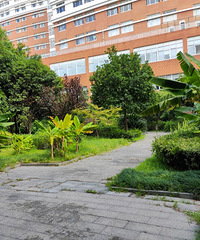 һ�������ɽ�º���û�� û�뵽Ҫ��ѧ�˷�����...