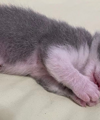 �����ǲ��������ӳ�ϲ��è�� �����Ͼ����е���...