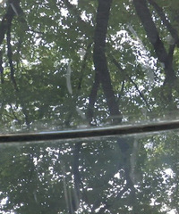 ��������С���ڣ���˹�����ң�Ů����������;����������ҵ��