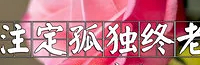 不想搭伙过日子 我该怎么办?注定要孤独终老 感觉亏欠家人