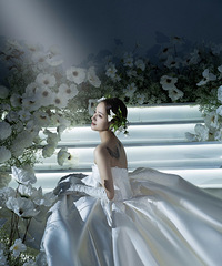 Ѱ��ȫ���˸���ֵ׼��������ױ�;������ռ�¼