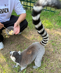 һ�꼶û��̸�����ҵ ֱ�ӱ���ʦͬѧ�ҳ�������...