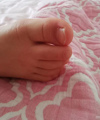 һֱ��Ϊ������ȱ�� û�뵽�Ƿ��Ǽ�...��ͬ���ֺ����