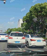 ʵ�߱��������������������F���ڳ�ֱ�Ӿ�ɧ������