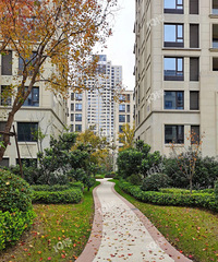 ��ҵ�������ˣ���ѧһ�ܾ���Ѱ�æ���ޣ���д��ҵ���ͻؼ�...