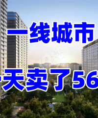 һ������56�ڣ����л������õģ�