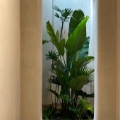 ס���ˡ��ȴ����֡�