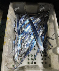 ��һ�ο������ʴ��� ����� Ҳ����