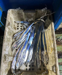 ��һ�ο������ʴ��� ����� Ҳ����