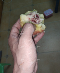 ��ˮ����ֲ����£��Ը����� ͻȻ���֡���