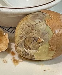 Ϊ��ë������һ������ �ҿ���ֱ�������ĸ���