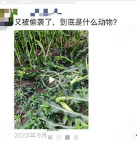 �������˵����ֵ������ϱ�����͵�ԣ�����ûץ�������ס���