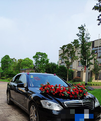 �����Ǵ���ϲ�� �������� ����ٲ��˺�ɫԪ��