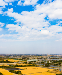 ���20�棡���½���������죡��������ʱ���ǡ�