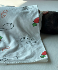 ����Ϊ���� ����������16������Ϣ ������ų����Ļ�