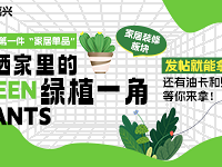 �������ͺ����ɹɹ�����ֲһ�ǣ�