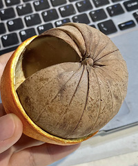 �������յ���ϲ��.��һ���Ӿ���ס�ˣ�