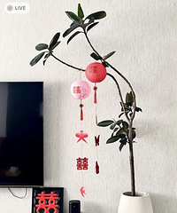 ����С���������С��һ�������˽��ϲ��ķ�Χ��~