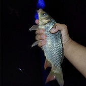 �������ӵ�ҹ������