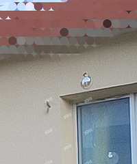 ���澵�Ӹ�ɶ�ģ���������