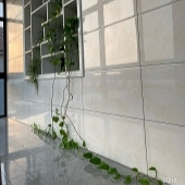 ���˱ر����ޣ�