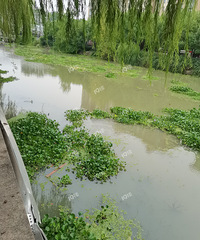 �ո�·���f��� ����ˮ��«����ƽ�����ˣ����˹ܹ���